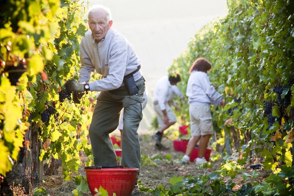 Borgo Conde Wine Resort Forlì Kültér fotó